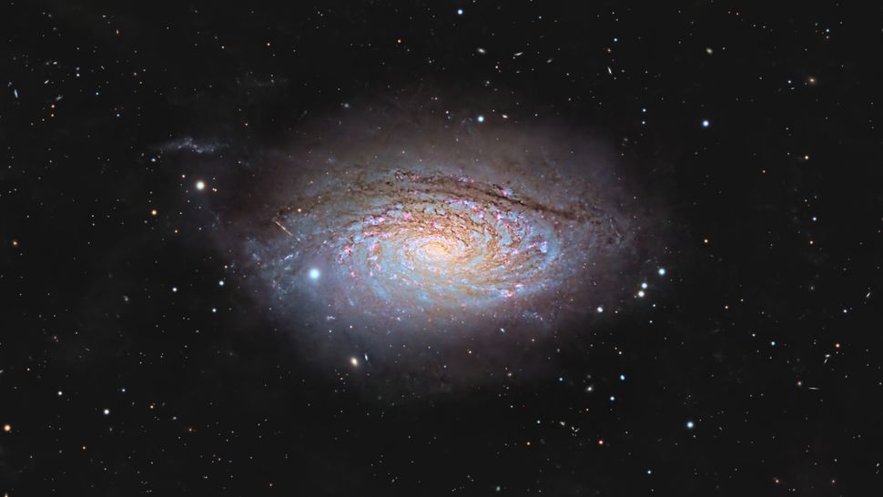 Sunflower Galaxy gamen.pro