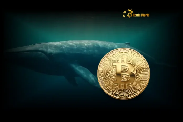 bitcoin whale james wynn achieves stunning victory in high stakes hyperliquid battle gamen.pro