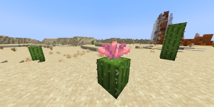 cactus flowers minecraft gamen.pro