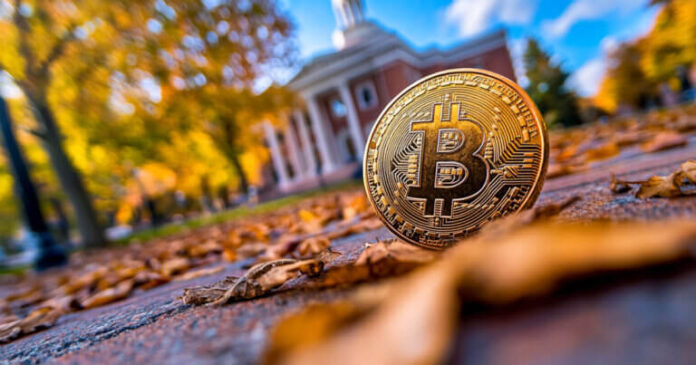 gamen.pro newhampshire bitcoin 768x403 1