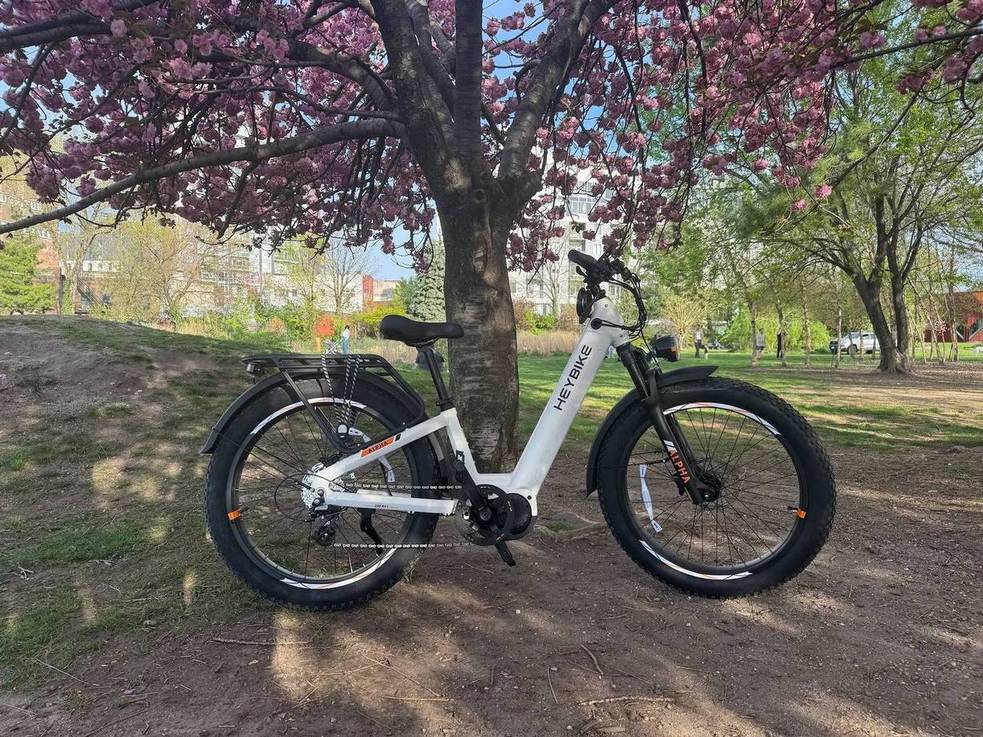 heybike-alpha-gamen.pro