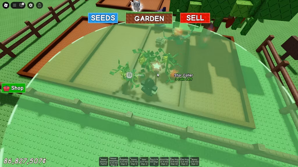 Grow a Garden: Công dụng và cách sở hữu Star Caller 1 68396b95a1c33 How To GET USE STAR CALLER in GROW A GARDEN ROBLOX 0 39 screenshot gamen.pro