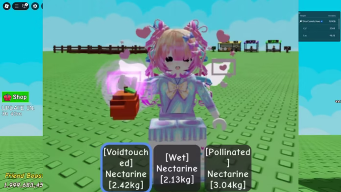HOW TO GET BLACKHOLE WEATHER VOIDTOUCHED MUTATION in GROW A GARDEN ROBLOX 0 31 screenshot gamen.pro