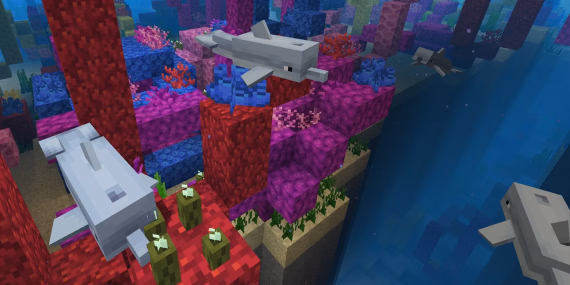 gamen.pro-minecraft-dolphin