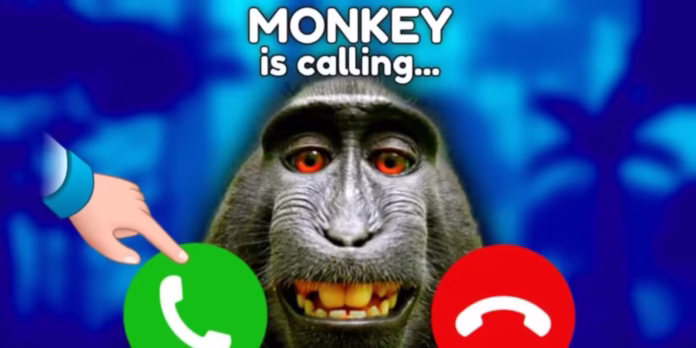 monkey tycoon codes 1 gamen.pro