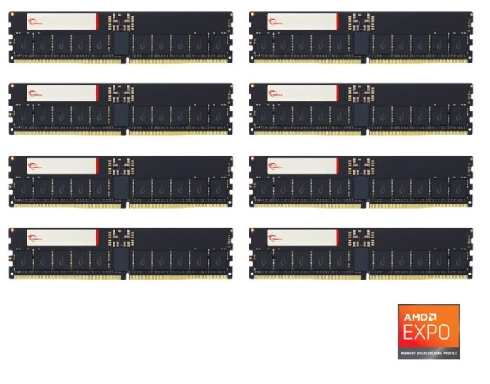 01 gskill t5n 8 module