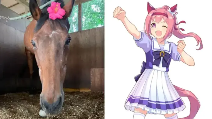 gamen.pro Umamusume 17072025