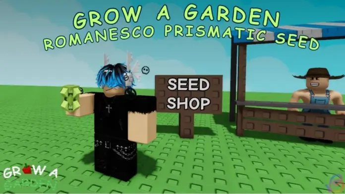 gamen.pro How to Get Romanesco in Grow a Garden