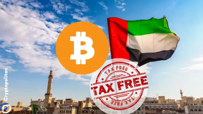 gamen.pro UAE grants VAT exemption for crypto transfers and conversions