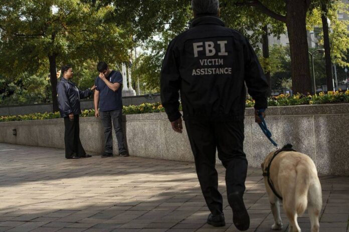 gamen.pro fbi vsd vs canine