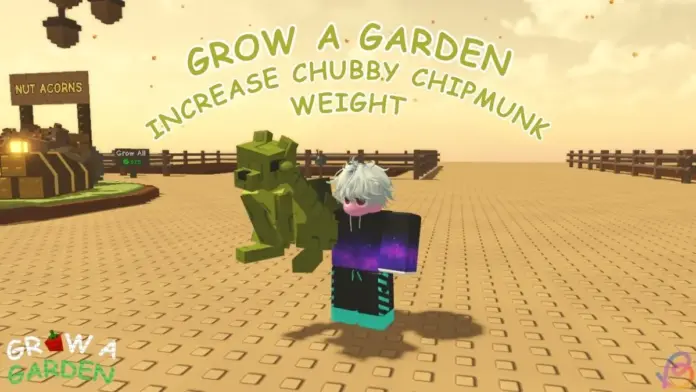 gamen.pro How to increase Chubby chipmunks Weight in Grow a Garden