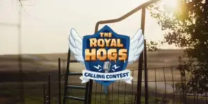 gamen.pro clash royale ios android hog calling cover jpg 640