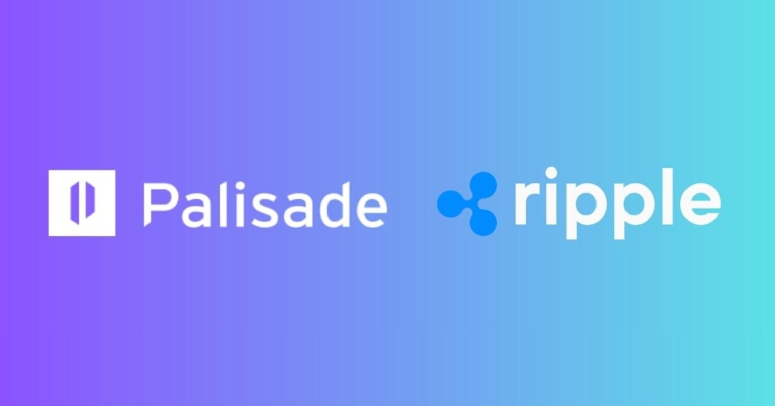 gamen.pro ripple x Palisade