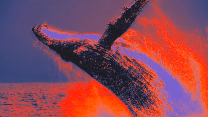 gamen.pro 20250917 Whale News 2 1200x675 2