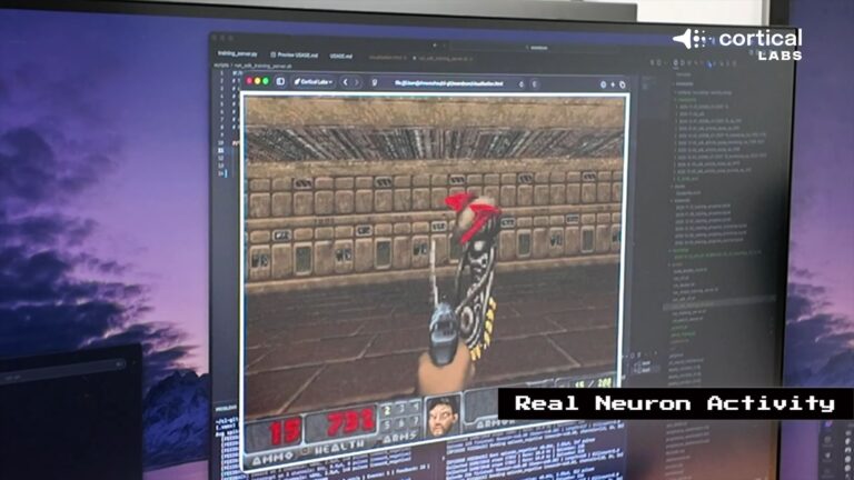 gamen.pro NEURONS PLAYING DOOM HERO 3 768x432 1