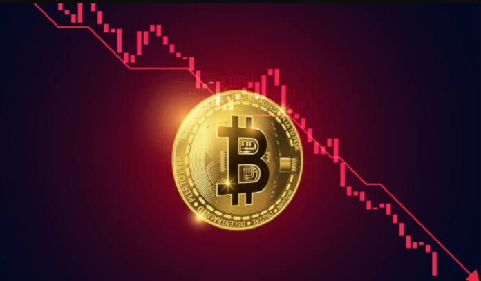 gamen.pro btc 9872284