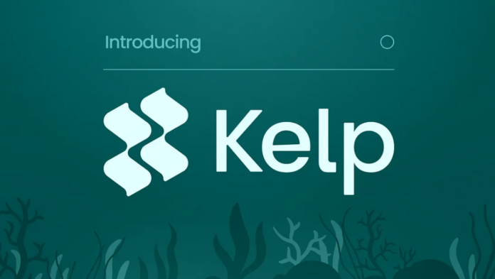 gamen.pro what is kelp