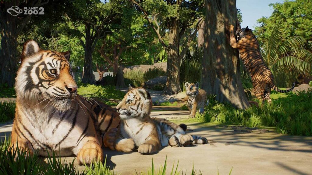 gamen.pro PZ2 Announce Shot02 Sumatran Tiger Beauty 1920x1080 watermark