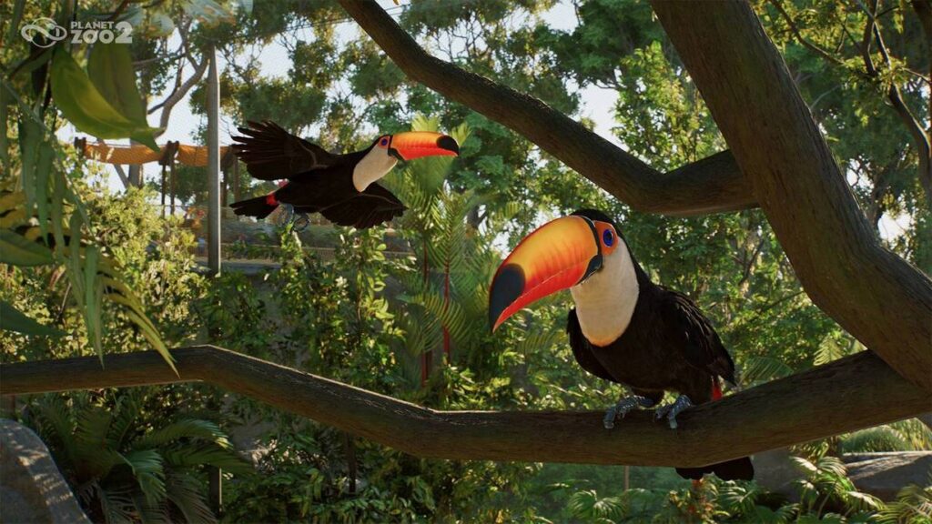 gamen.pro PZ2 Announce Shot07 Toco Toucan Beauty 1920x1080 watermark