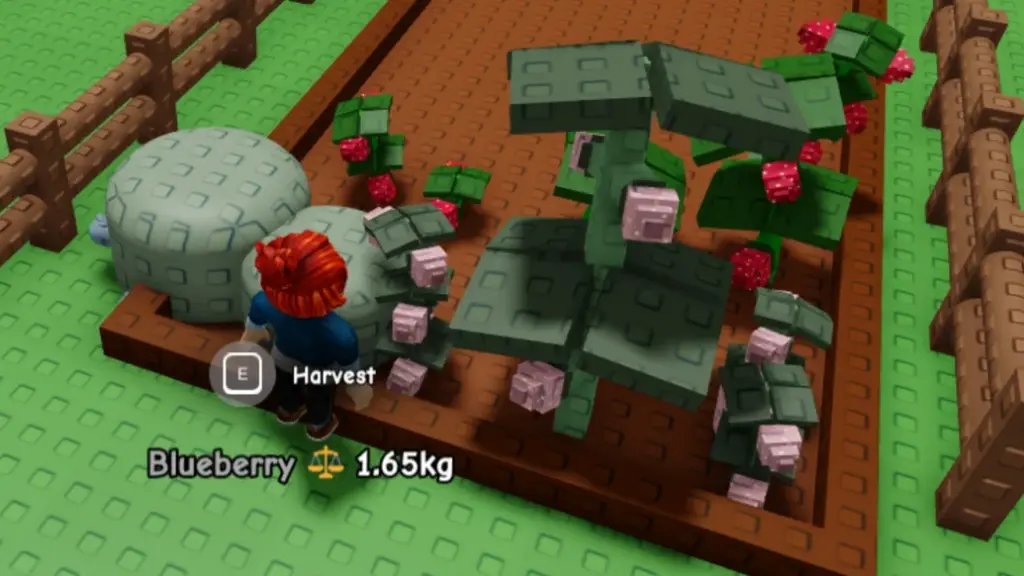 Grow a Garden 2: Hướng dẫn chi tiết cách chiêu mộ thú cưng Chim cổ đỏ 1 gamen.pro grow a garden 2 strawberry patch 1