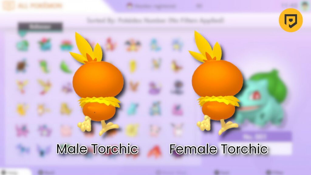 gamen.pro pokemon living pokedex calculated torchic 1200x675 1